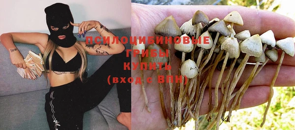 метадон Верея