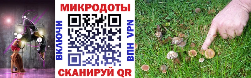 Псилоцибиновые грибы Magic Shrooms Купить Бавлы